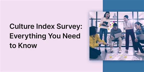 cultural index survey|Culture Index surveys: A complete guide .